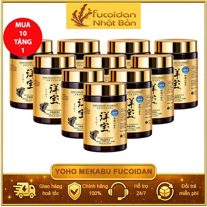 Combo 10 Hộp Tặng 1 Hộp Yoho Mekabu Fucoidan 120 viên