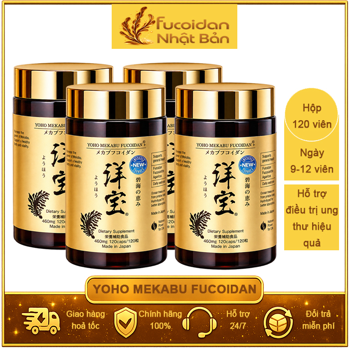 Combo 4 hộp Yoho Mekabu Fucoidan. Mỗi Hộp 120 viên